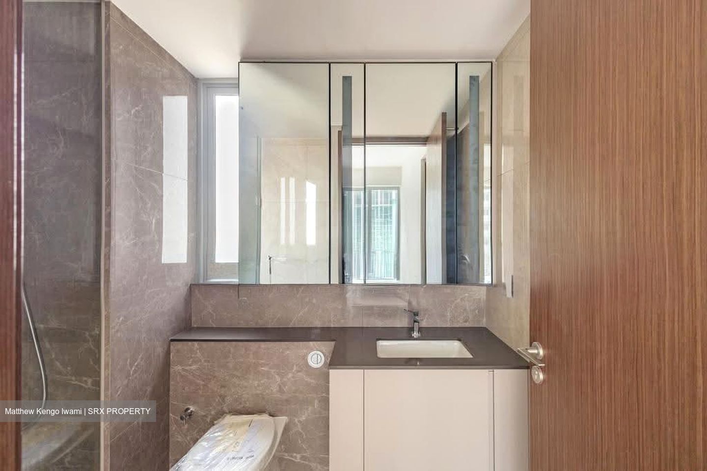 Grand Dunman (D15), Apartment #629378451